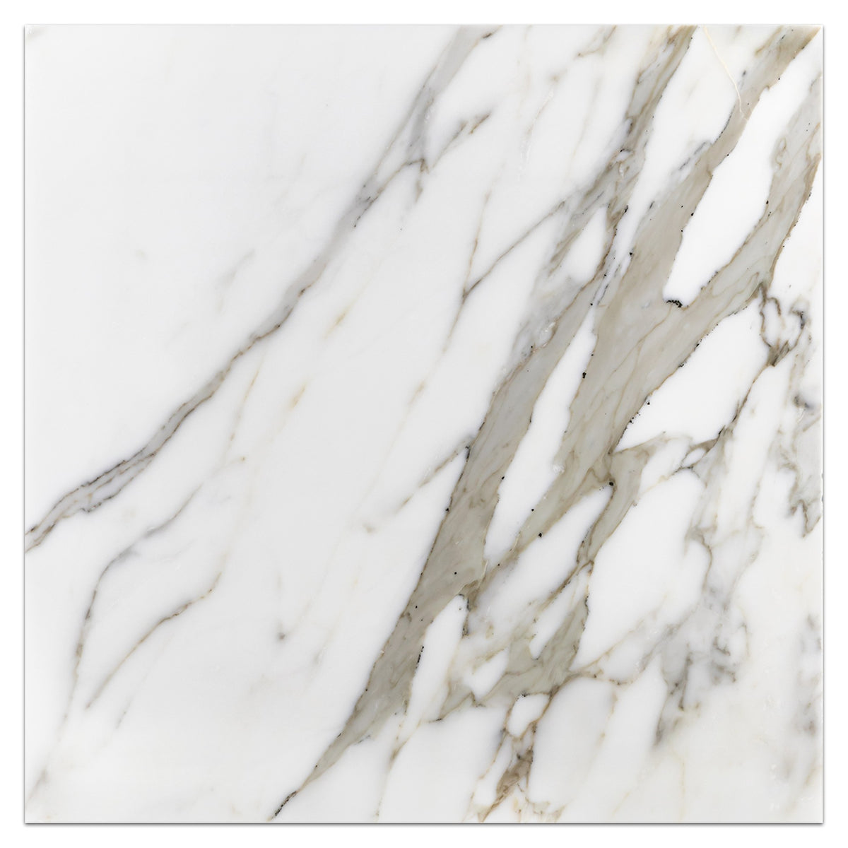 Elon Tile Calacatta Gold Field Tile tile — available at Surface Group