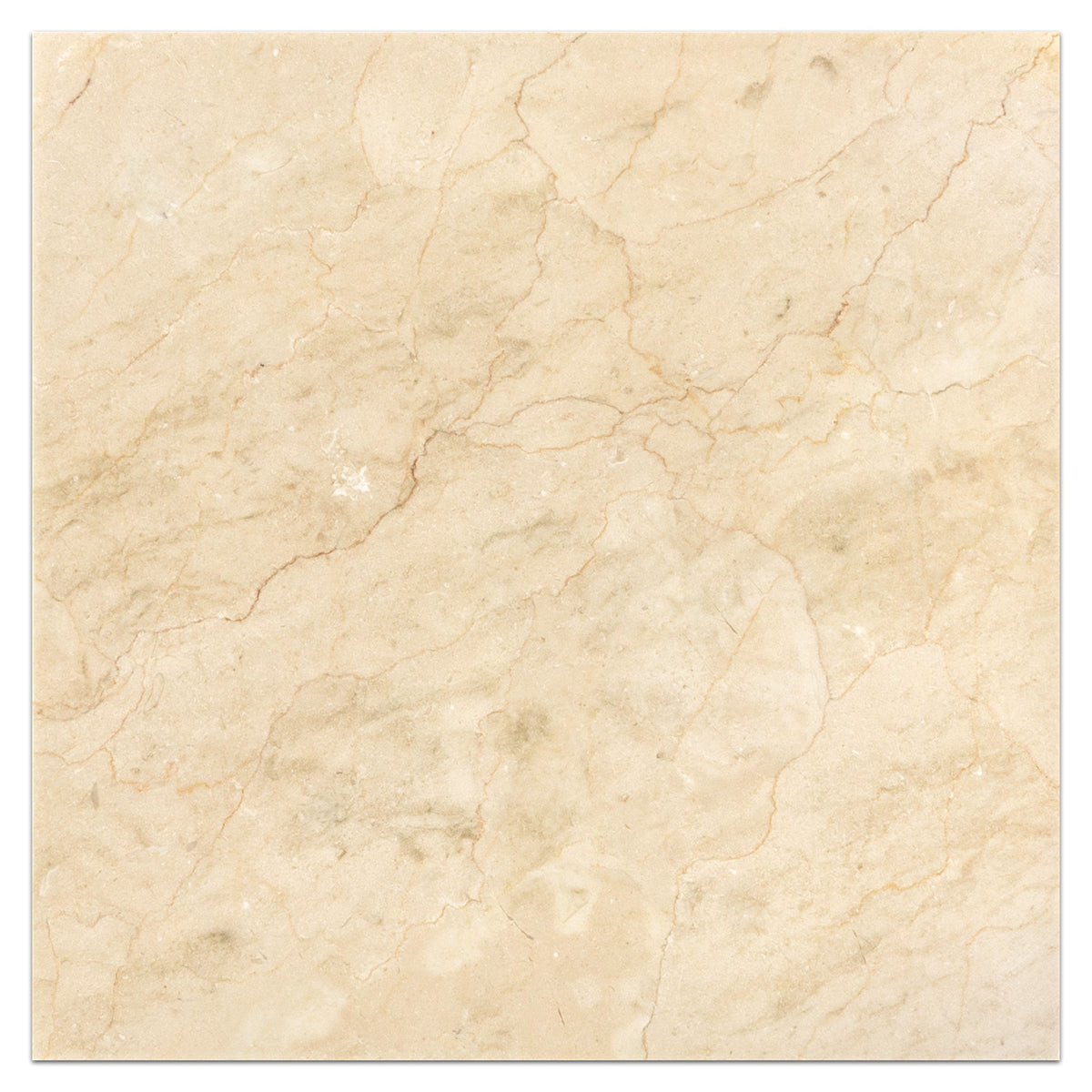 Elon Tile Crema Marfil Field Tile tile — available at Surface Group
