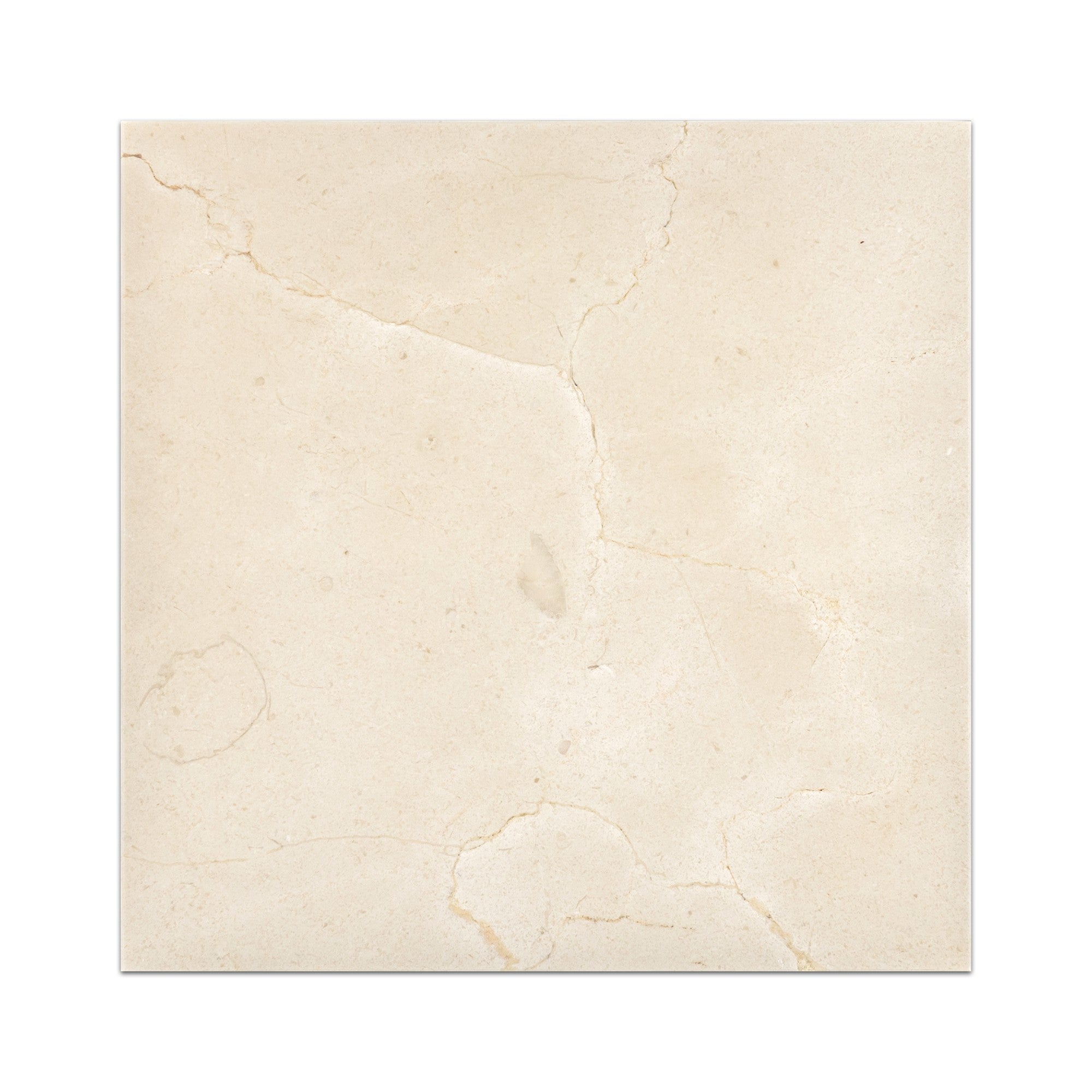 Elon Tile Crema Marfil Field Tile tile — available at Surface Group