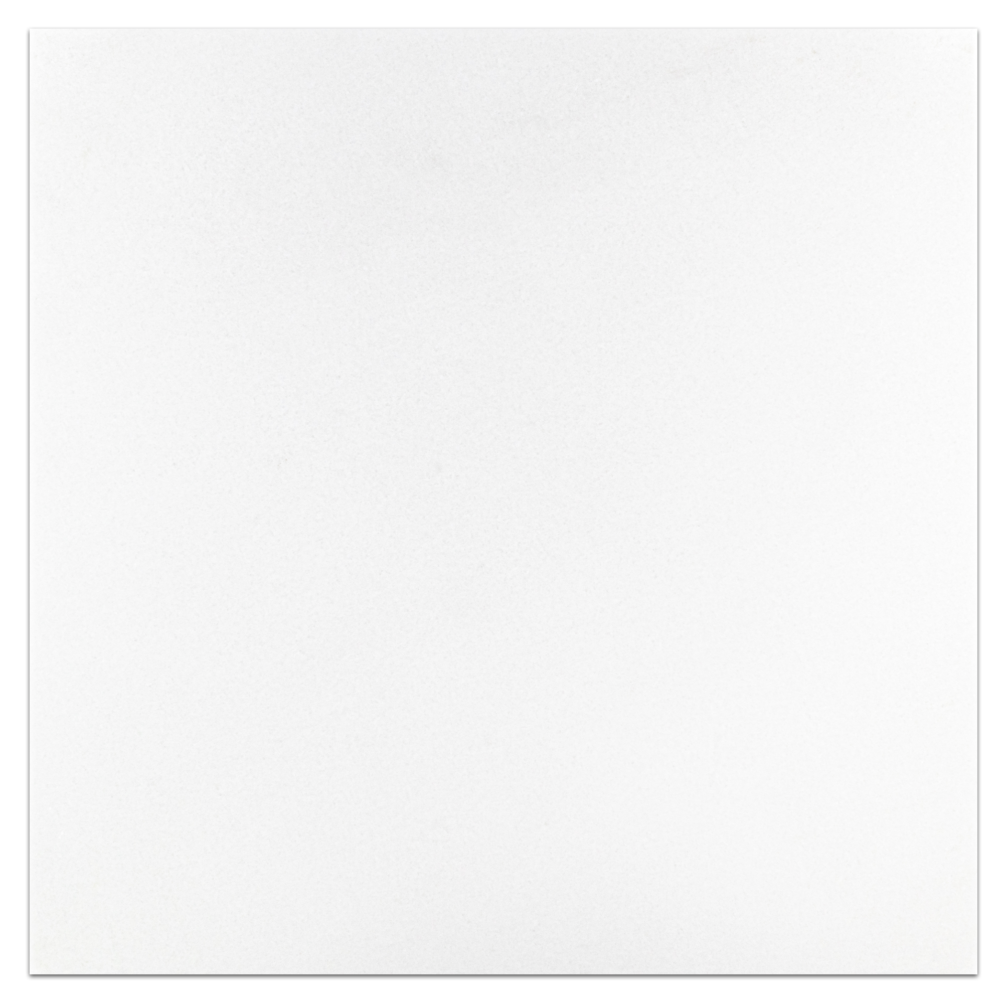 Elon White Thassos Marble Square Field Tile 18x18x0.375 Honed - Surface Group International