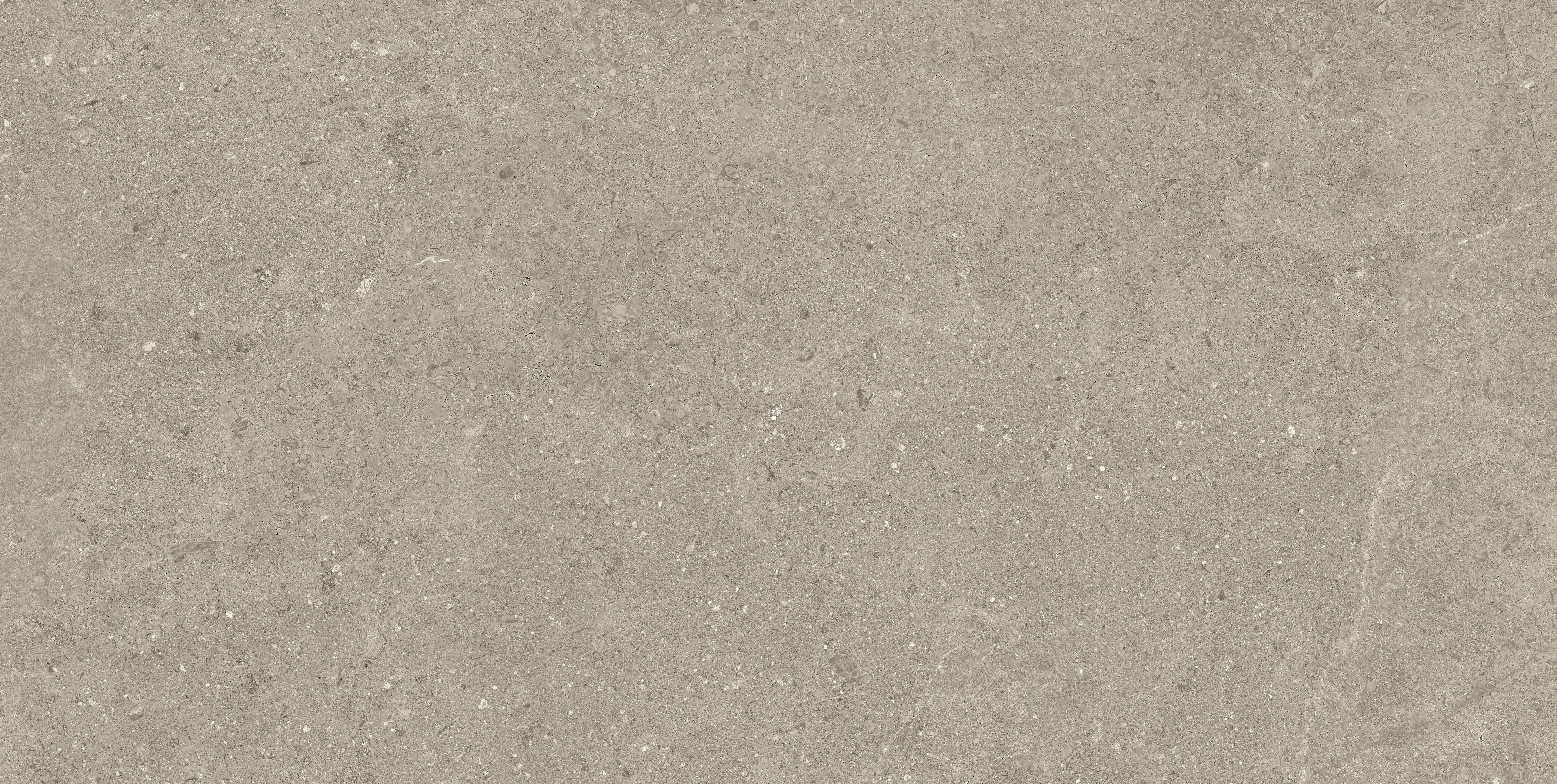Mood Taupe porcelain field tile, top-down product view, 24"×48"×11/32" size. Premium porcelain for floors and walls.