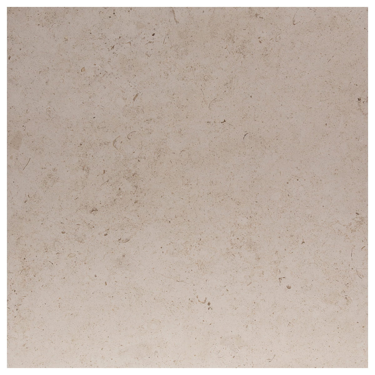 Belair Limestone Field Tile - 18x18x0.375 inches - Honed finish - Straight edge