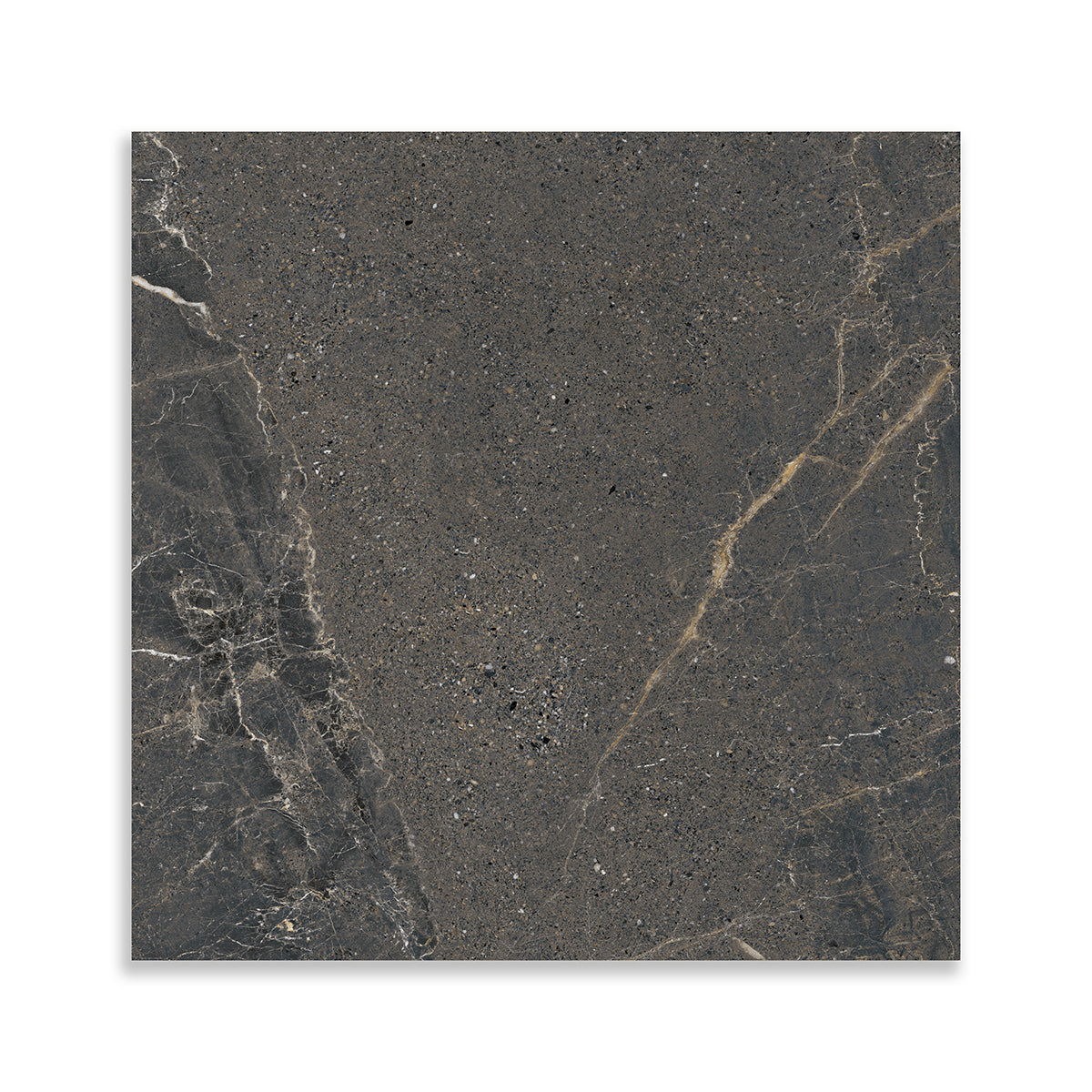 Dark Matte Porcelain Tile 24×24 Image