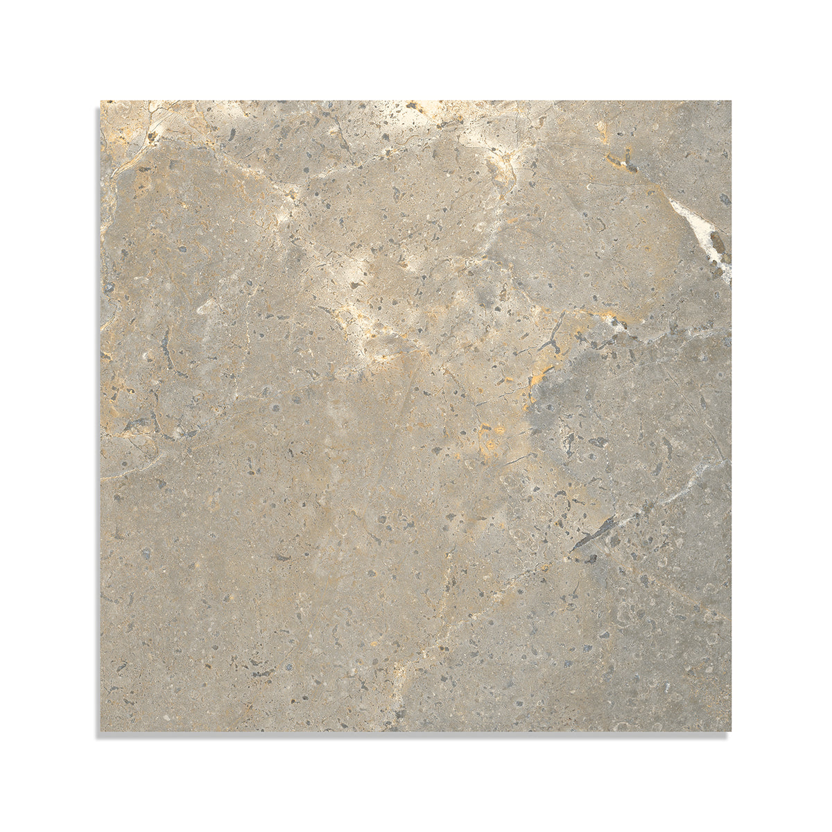 Earth Matte Porcelain Tile 24×24 Image