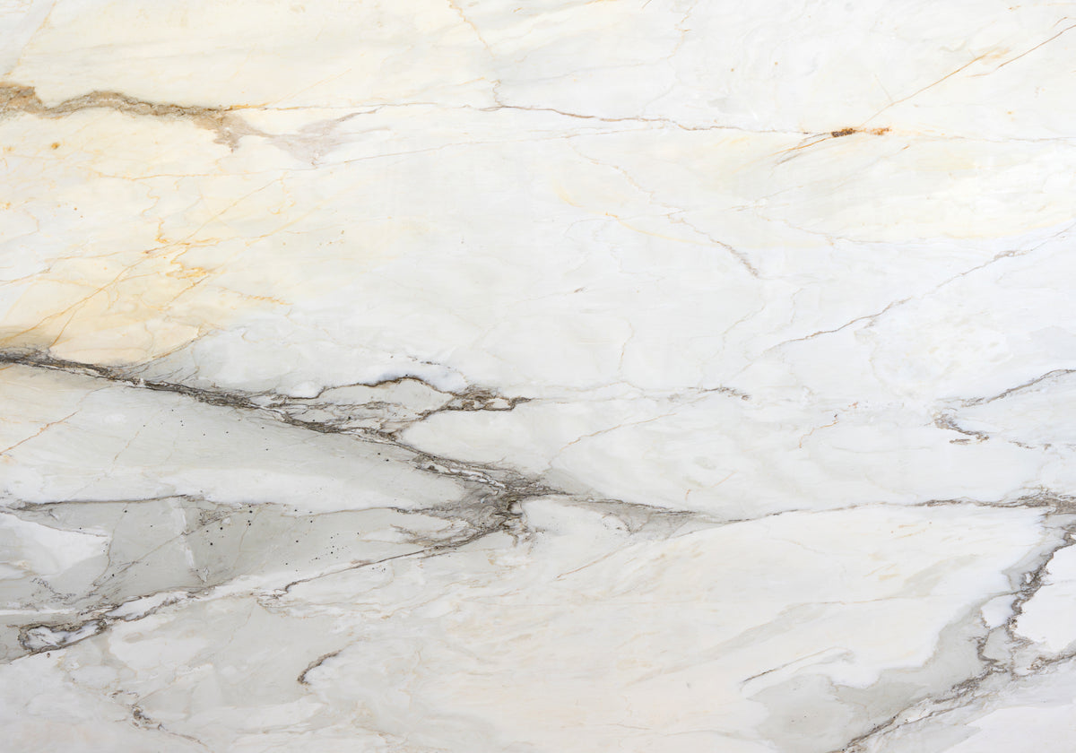 Marble Systems Calacatta Cremo Delicato Ext glossy marble tile — available at Surface Group