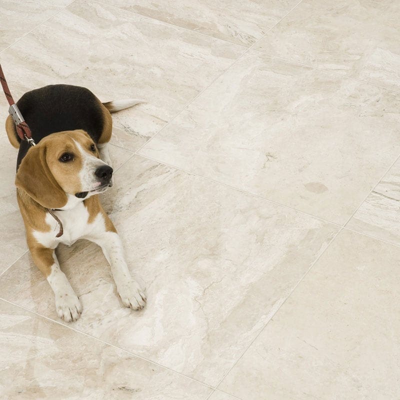 Diana Royal Honed Marble Tile 12×12 (TL14119)
