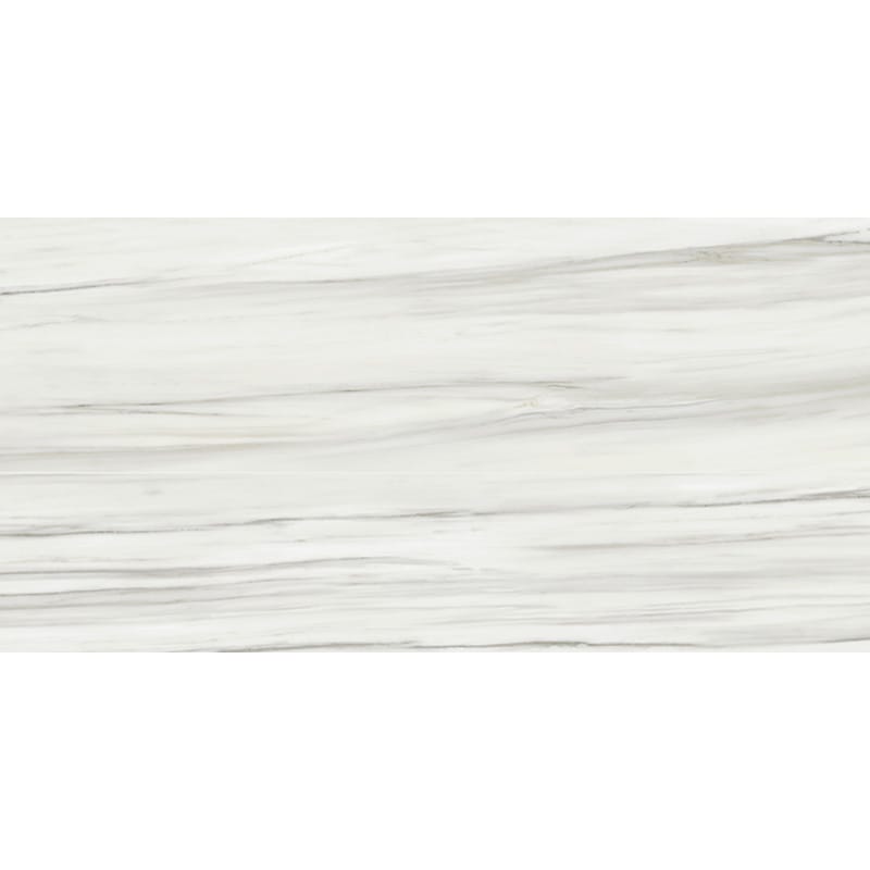 Carrara Zebrino Honed Porcelain Tile 12×24 Image