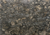 Cianitus Granite Slab (polished | rectified)