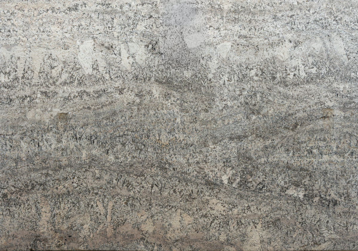 Marble Systems Granite Slabs Torroncino White glossy granite tile — available at Surface Group