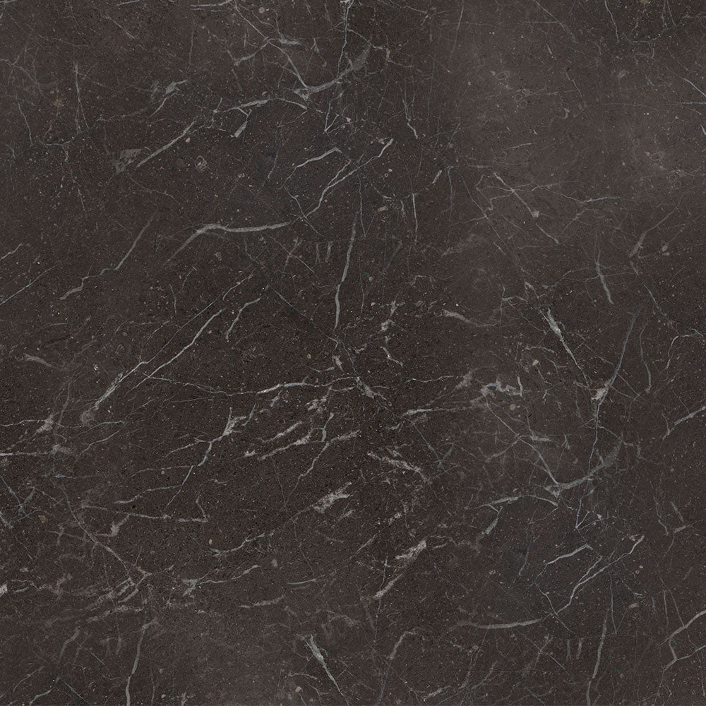 Iris Black Honed Marble Tile 18×18 Image