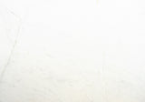 White Bianco Venus Marble Slab (honed | rectified | 1 1/4" thick)