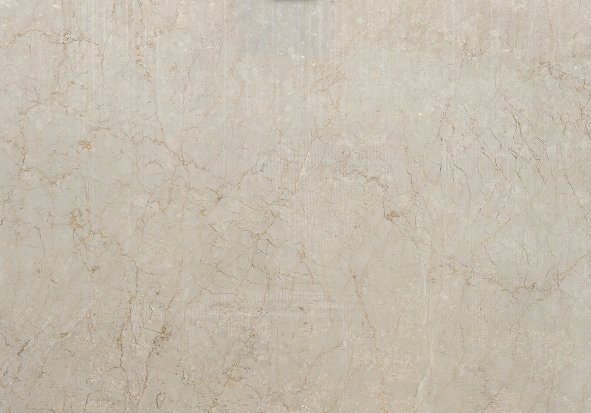 Marble Systems Marble Slabs Botticino Classico glossy marble tile — available at Surface Group