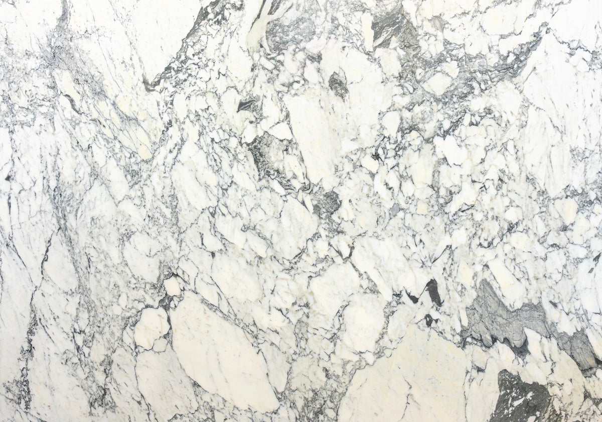 Marble Systems Marble Slabs Calacatta Cervaiole glossy marble tile — available at Surface Group