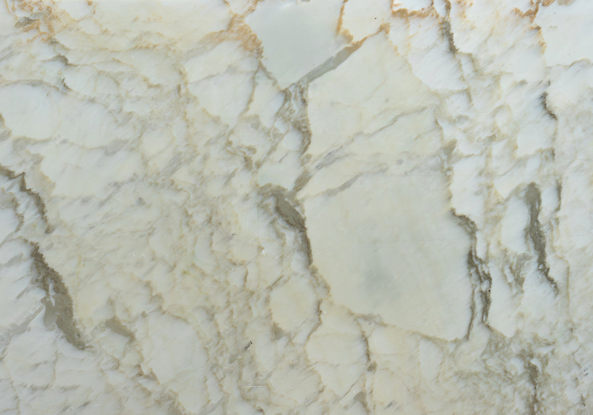 Marble Systems Marble Slabs Calacatta Luna glossy marble tile — available at Surface Group