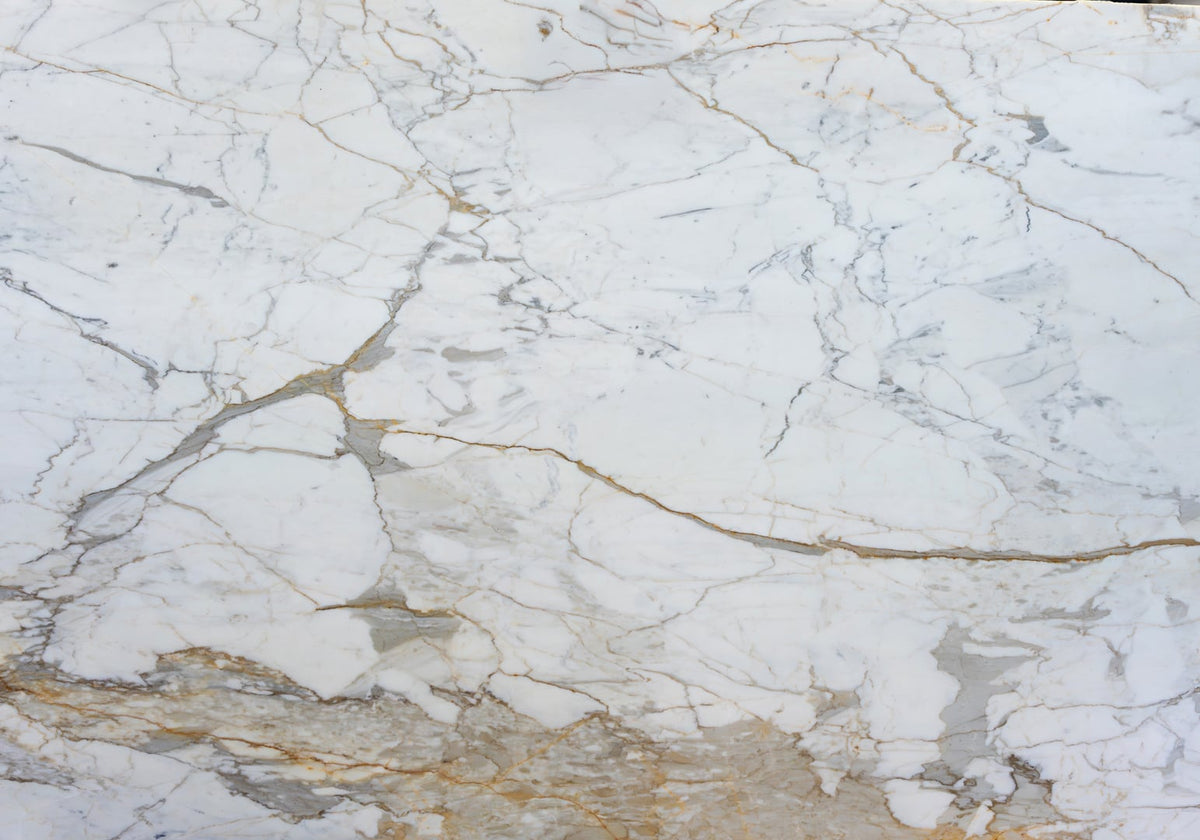 Calacatta Macchia Vecchia Honed Marble Slab Random