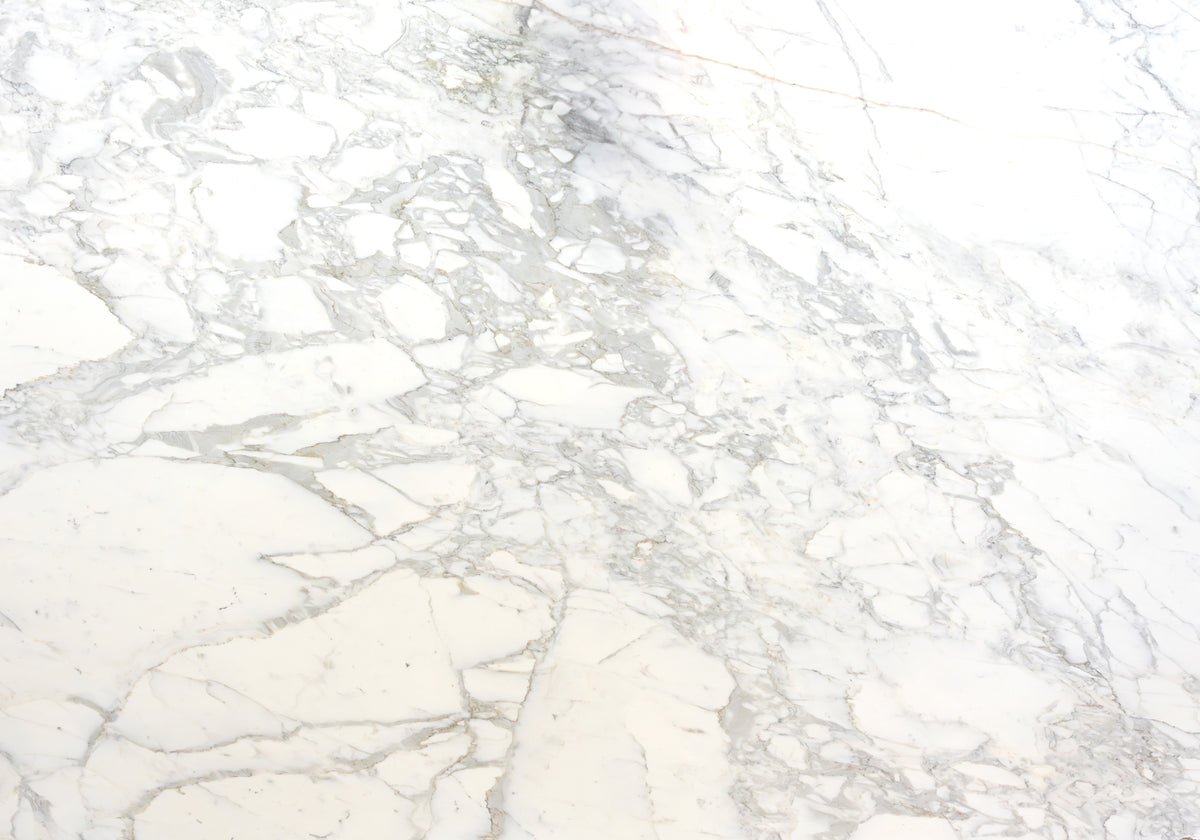 Marble Systems Marble Slabs Calacatta Sponda Classic glossy marble tile — available at Surface Group
