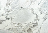 Calacatta Vagli Supreme Marble Slab (honed | rectified)