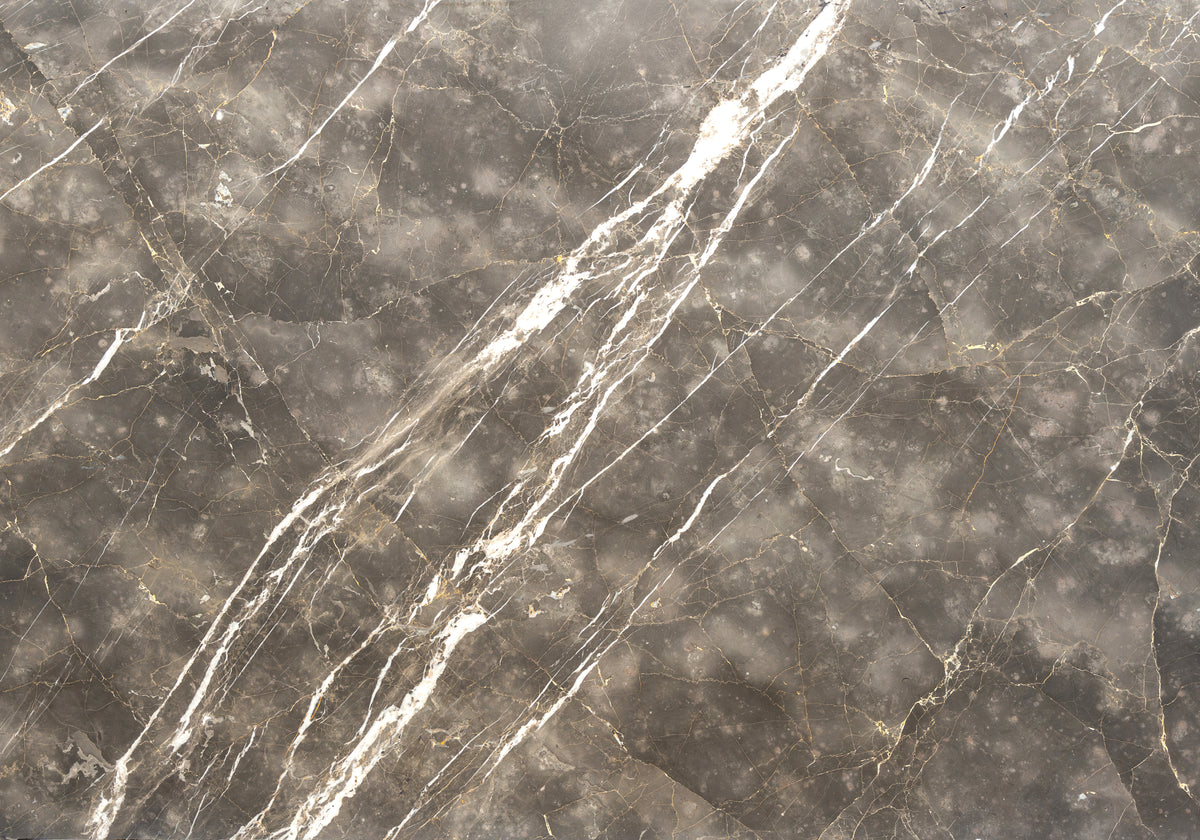 Marble Systems Marble Slabs Collemandina matte marble tile — available at Surface Group