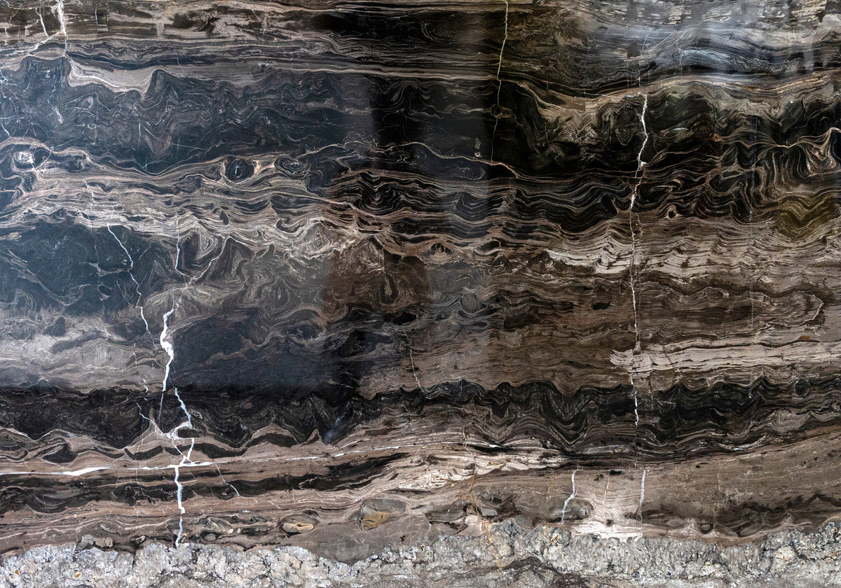 Marble Systems Marble Slabs Frappuccino glossy marble tile — available at Surface Group