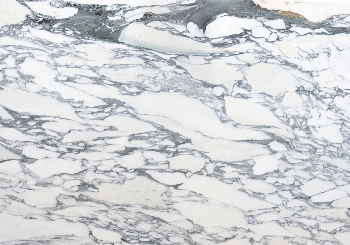 Marble Systems Marble Slabs Statuario Corchia Classic glossy marble tile — available at Surface Group