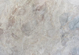 Versilys Gold Marble Slab (honed | rectified)