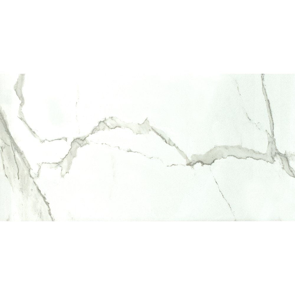 Albatros Polished Porcelain Tile 12×24 Image