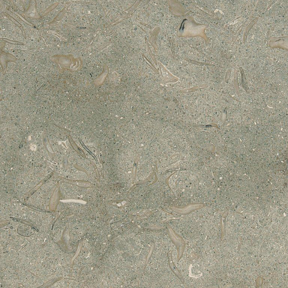 Olive Green Honed Limestone Tiles 12×12