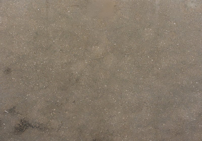 Olive Green Honed Limestone Slab Random