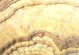 ONYX SLABS: Miele Extra Slab (polished | rectified)