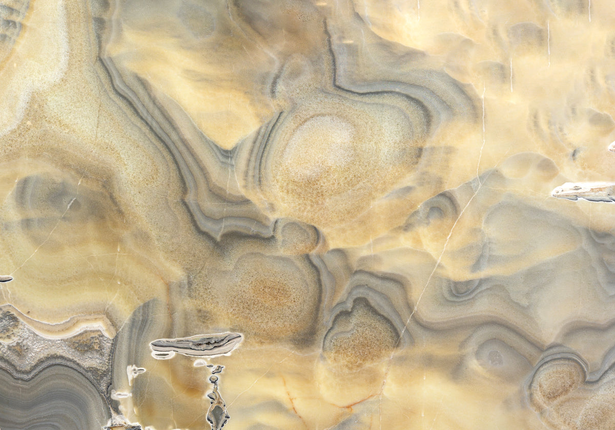 Marble Systems Onyx Slabs Smokey glossy onyx tile — available at Surface Group