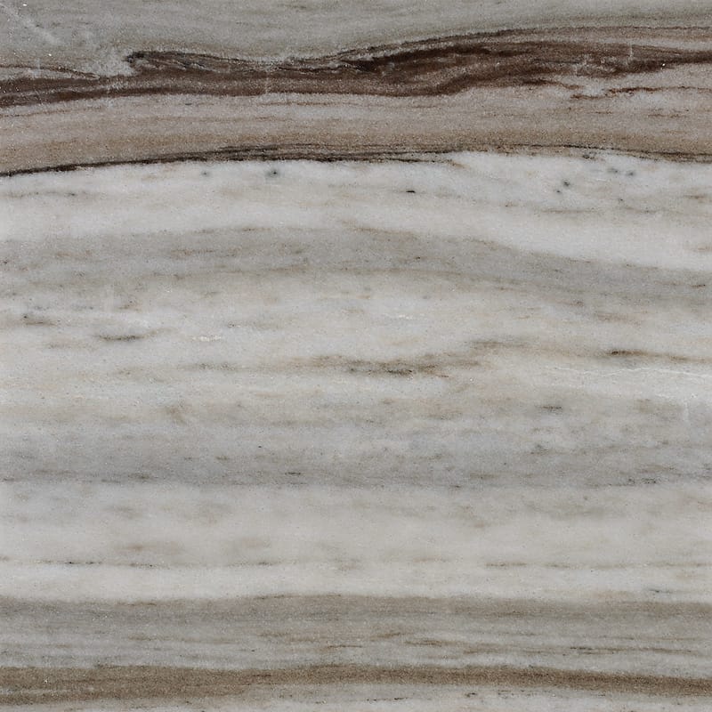 Palisandra Polished Marble Tile 12×12 Image