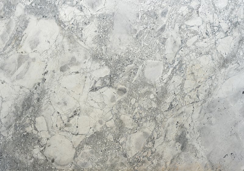 Marble Systems Quartzite Slabs Blanc glossy quartzite tile — available at Surface Group