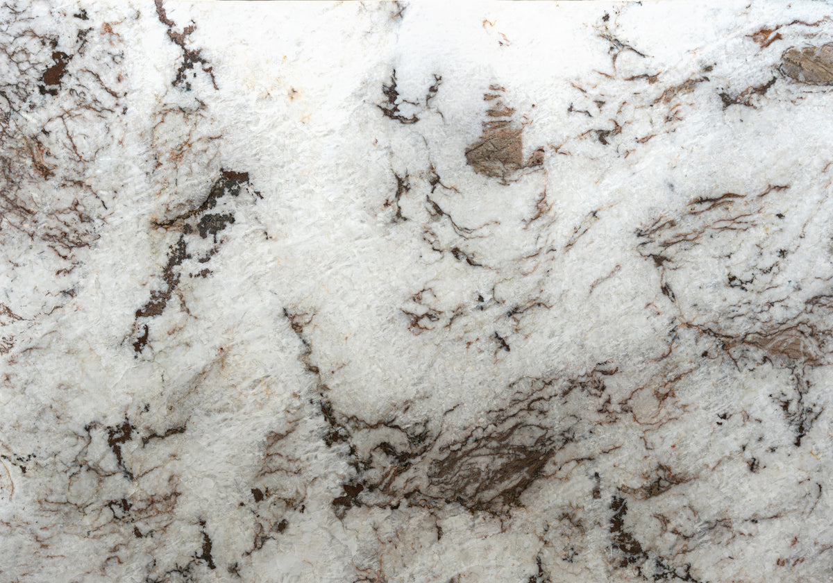 Marble Systems Quartzite Slabs Cristallo Oak glossy quartzite tile — available at Surface Group