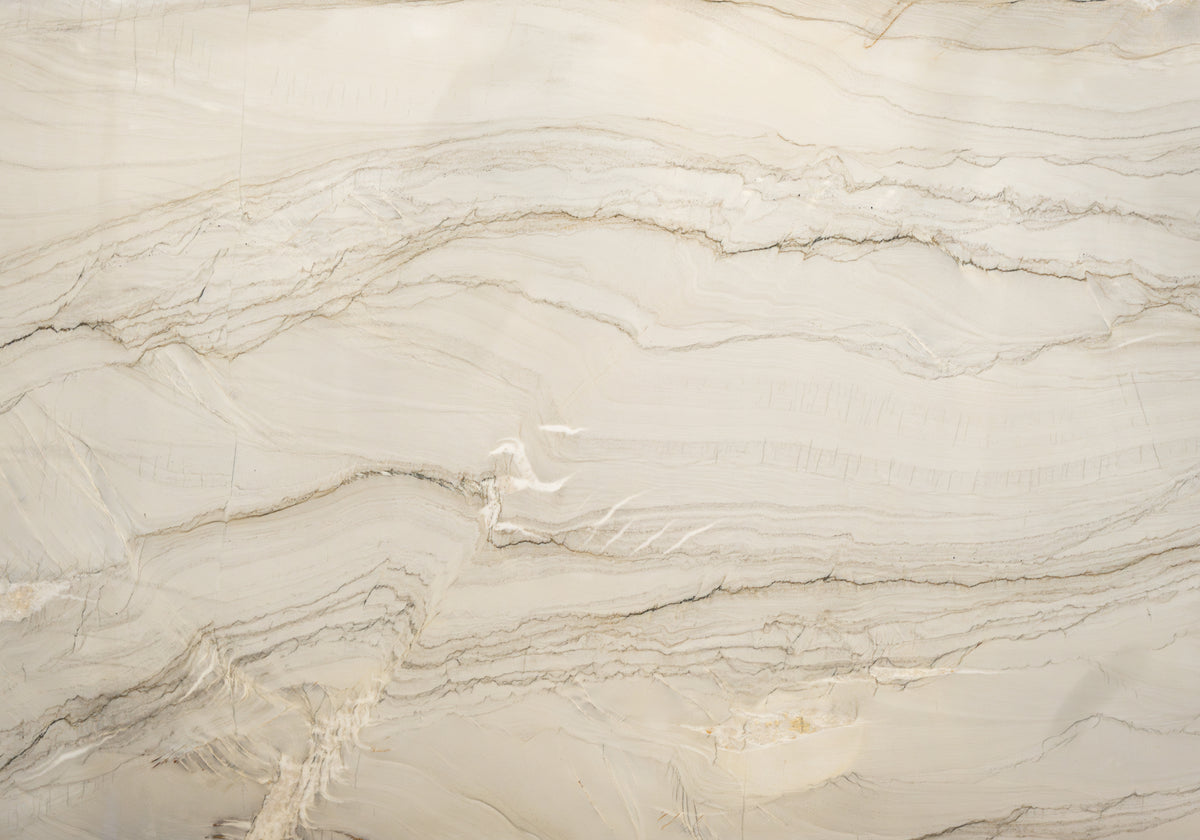 Marble Systems Quartzite Slabs Le Blanc glossy quartzite tile — available at Surface Group