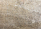 Naica Quartzite Slab (polished | rectified | lot 2)