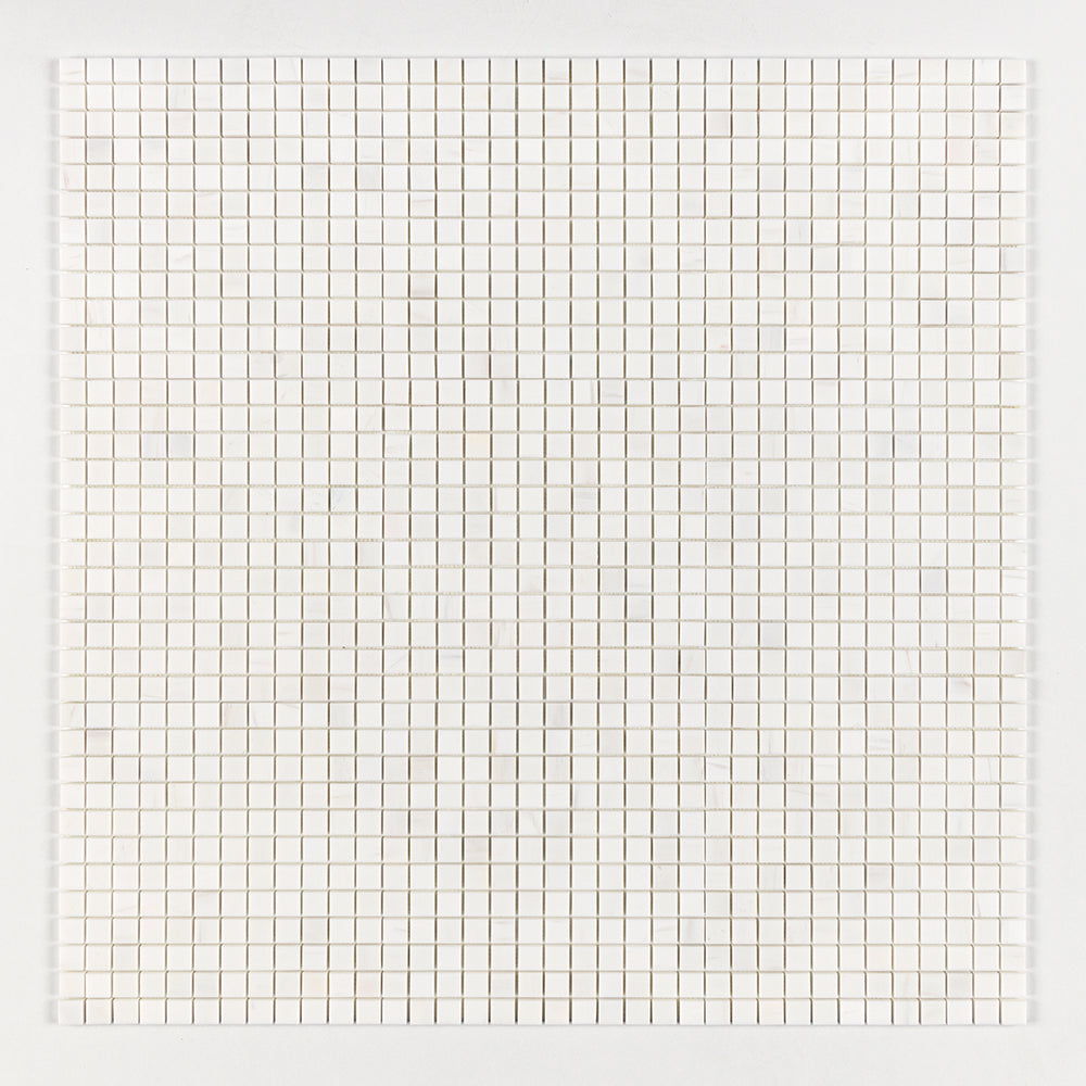 Marble Systems Snow White Polished Marble (Premium Bianco Dolomiti) Snow White glossy tile pattern swatch — available at