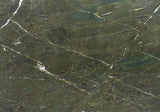 Vitoria Regia Granite Slab (polished | rectified)