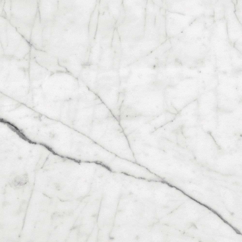 White Carrara C Honed Marble Tile 12×12 Image