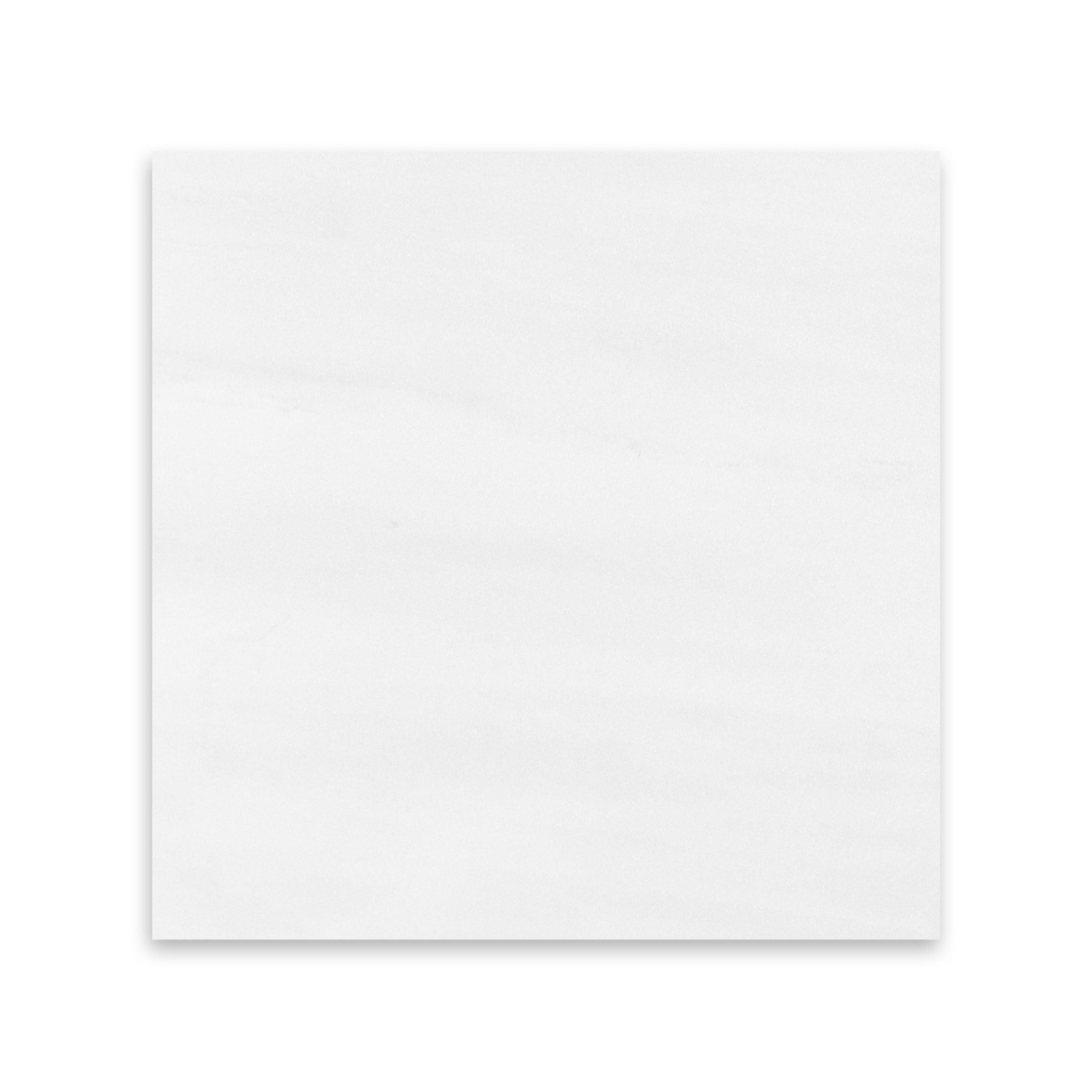 BIANCO: Dolomite Square Field Tile (12"x12"x3/8" | Polished)