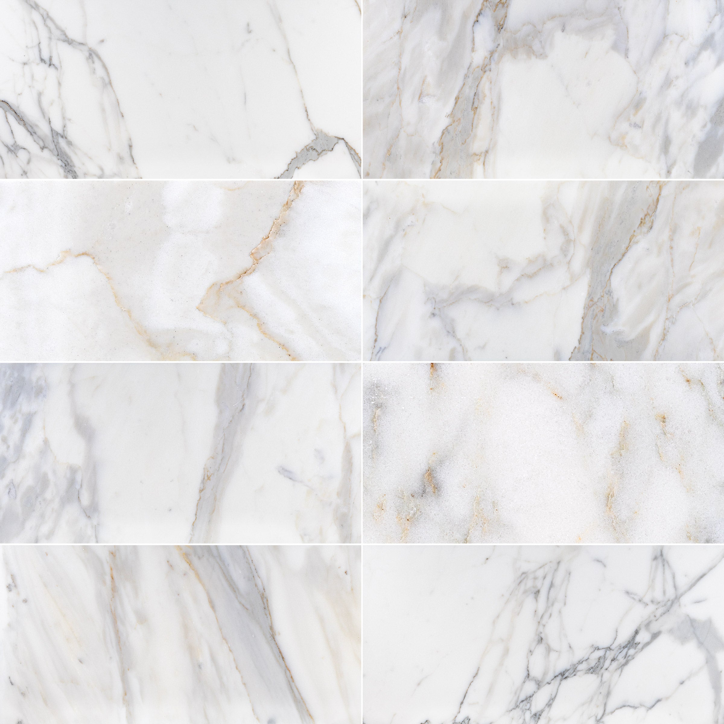 CALACATTA GOLD: Marble Rectangle Field Tile (12"x24"x3/8" | Honed)