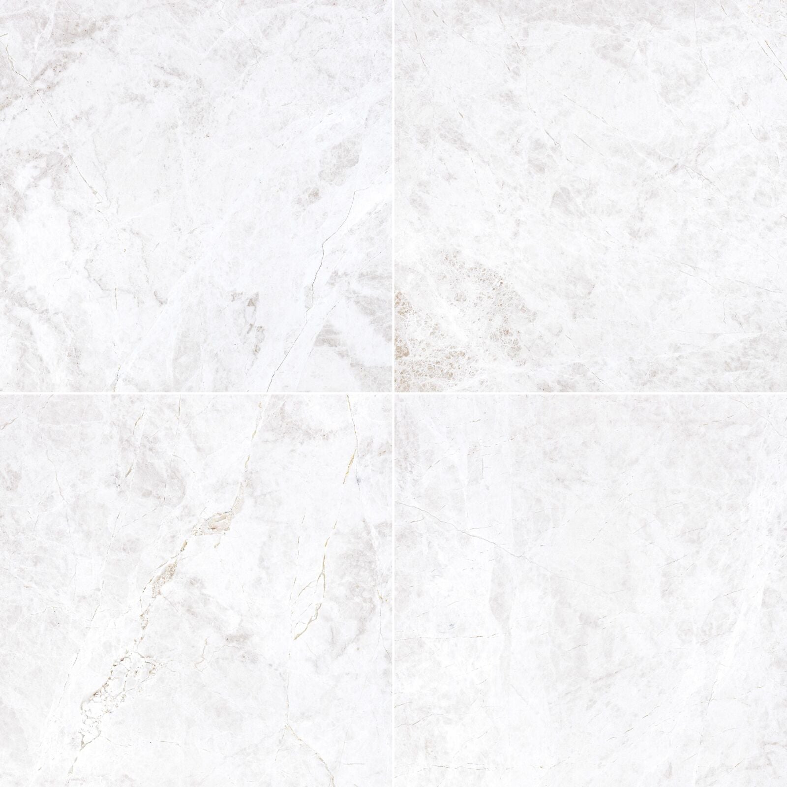 BOTTICINO TURKISH: Field Tile (24"×24"×1/2" | honed)