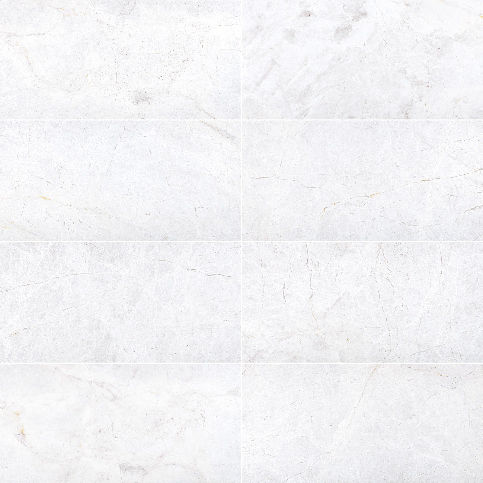 BOTTICINO TURKISH: Field Tile (12"×24"×1/2" | polished)