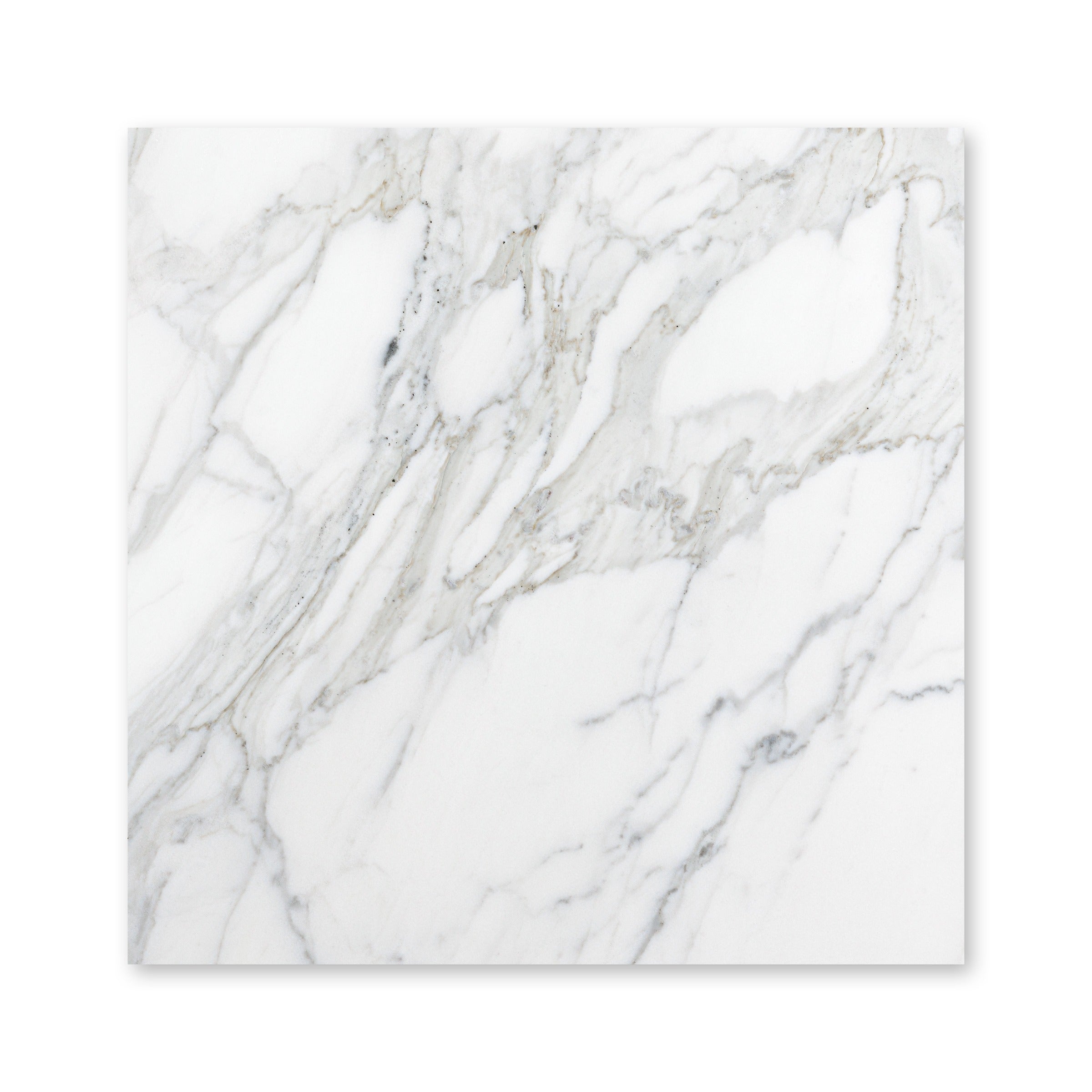 CALACATTA GOLD: Field Tile (18"×18"×3/8" | honed)