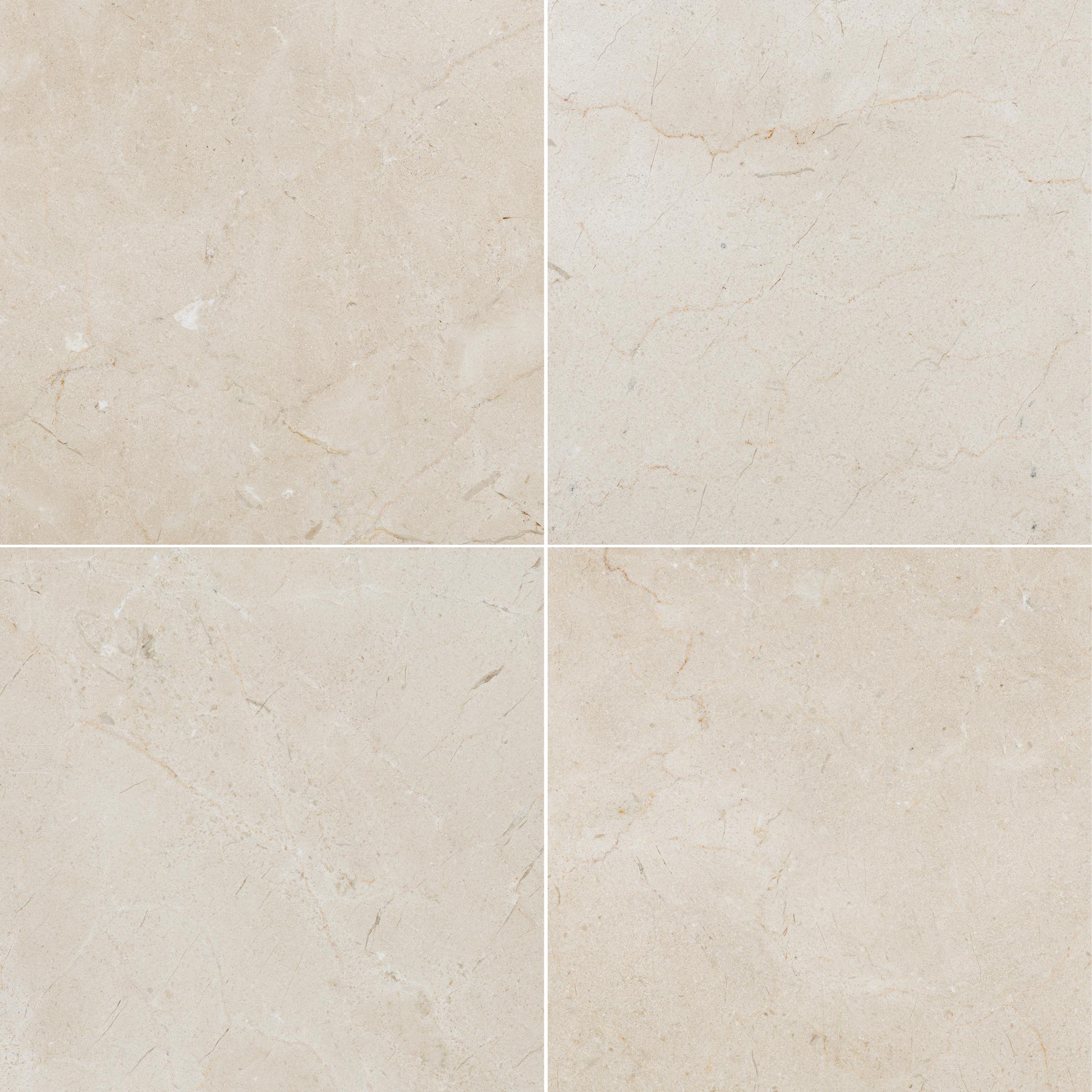 CREMA MARFIL SELECT: Field Tile (24"×24"×5/8" | honed)