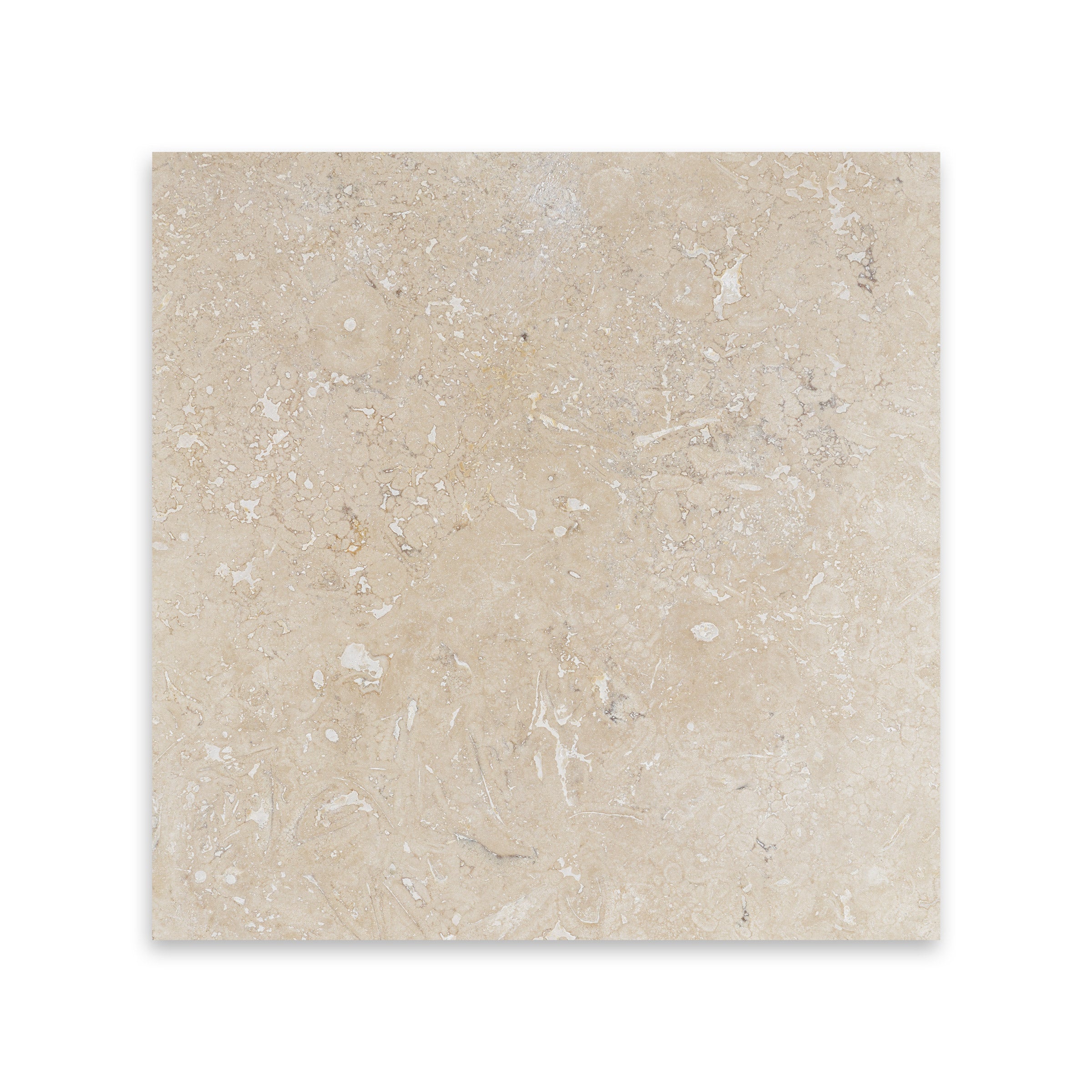 VERA CRUZ: Field Tile (12"×12"×3/8" | filled & honed)