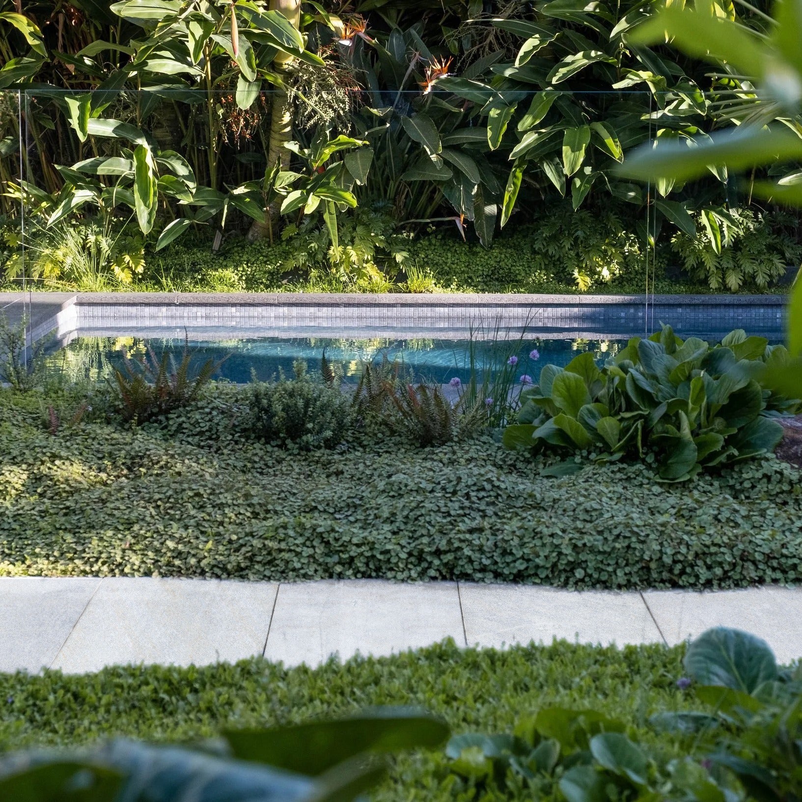 WHITE QUARTZITE: Pavers (24"×24"×1 3/16" | flamed & brushed)