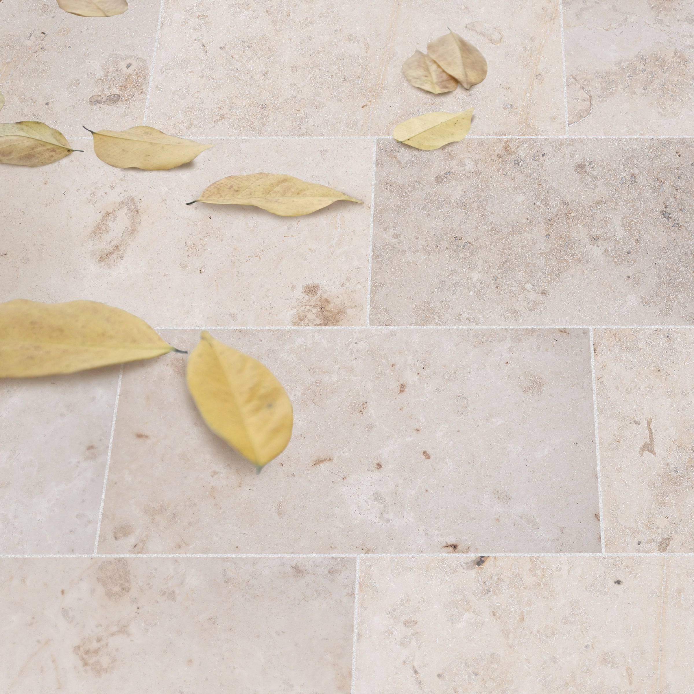 JURA BEIGE: Field Tile (12"×24"×3/8" | honed)