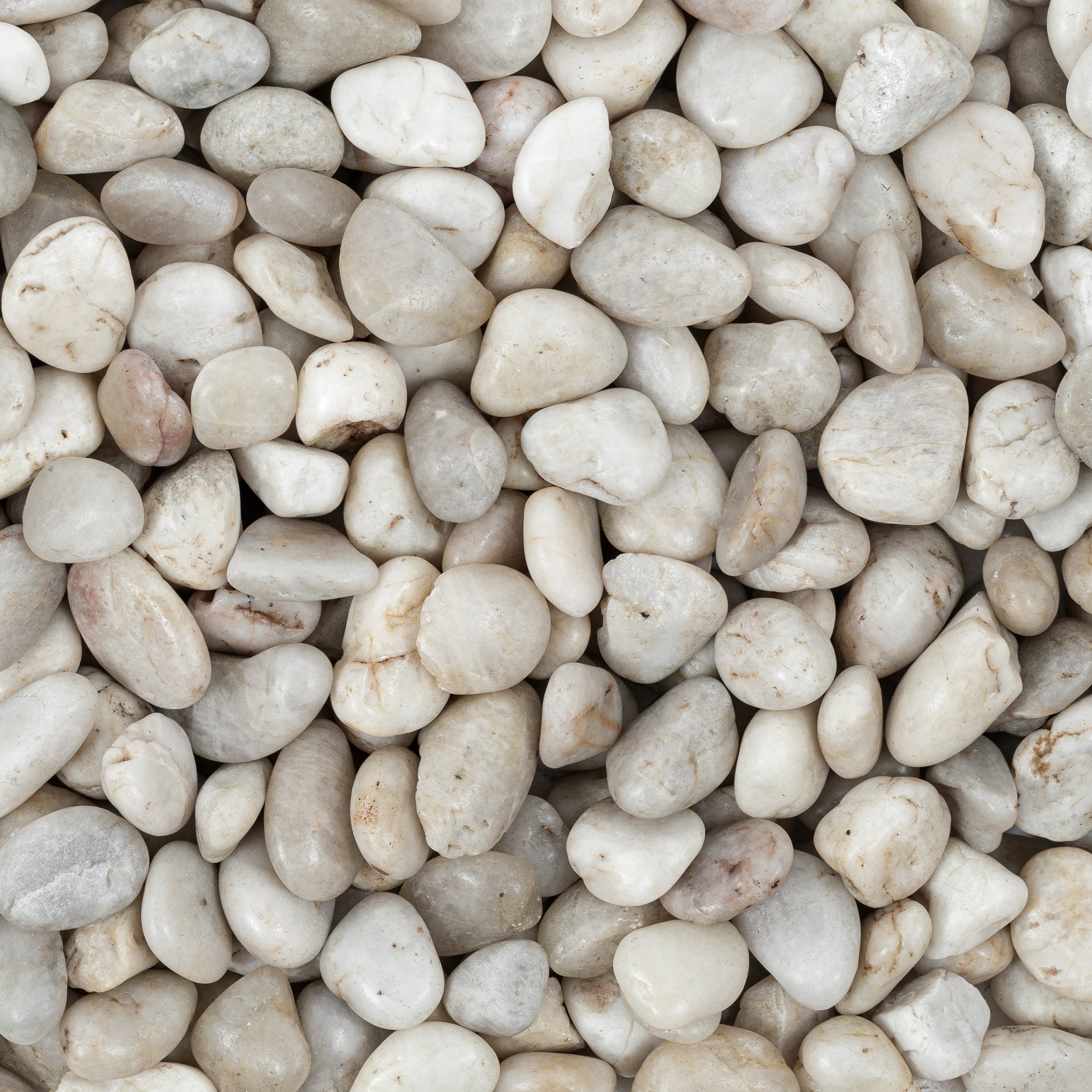 LOOSE PEBBLES: Loose Pebbles (polished | Small) (5)