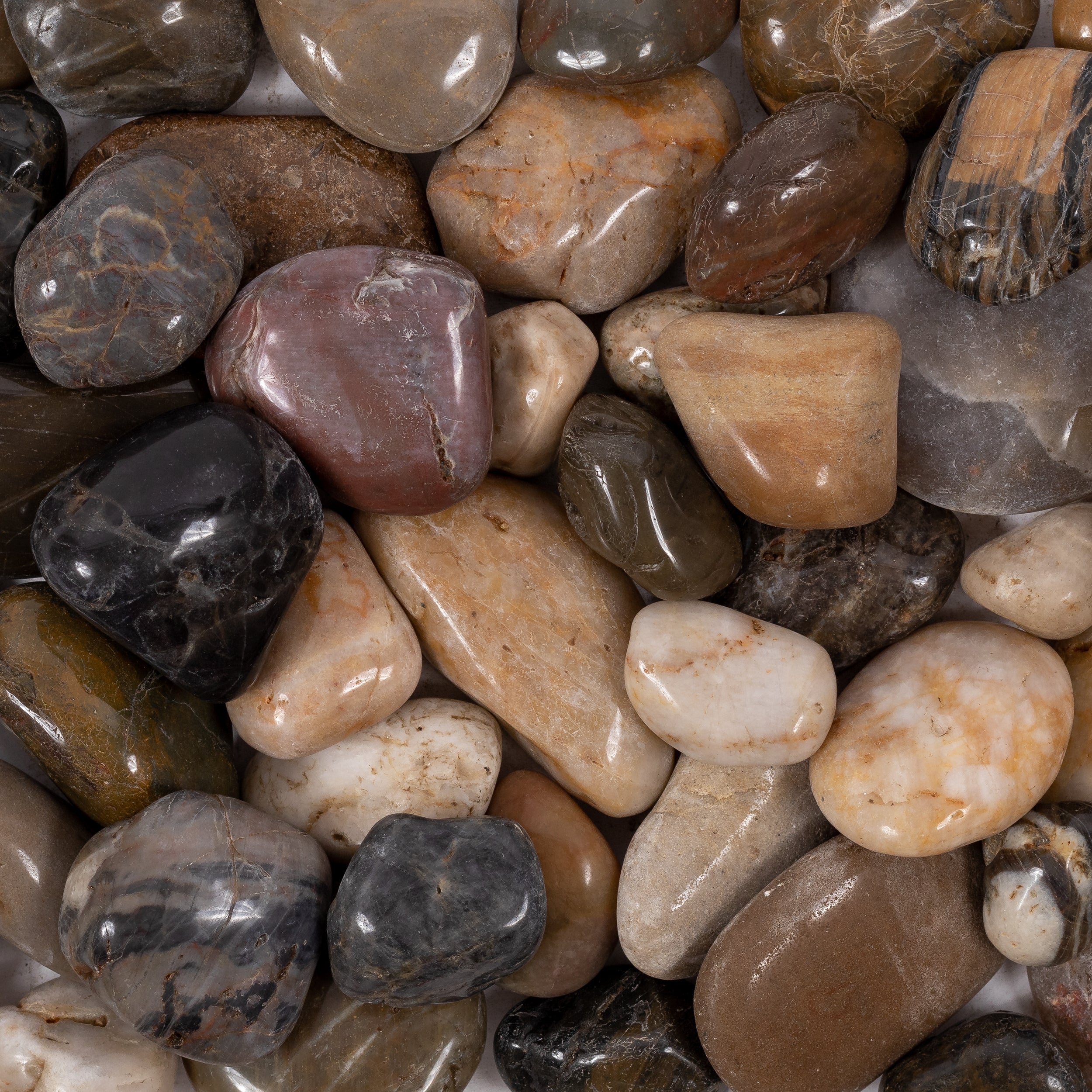 LOOSE PEBBLES: Loose Pebbles (ultra polished | Medium) (3)