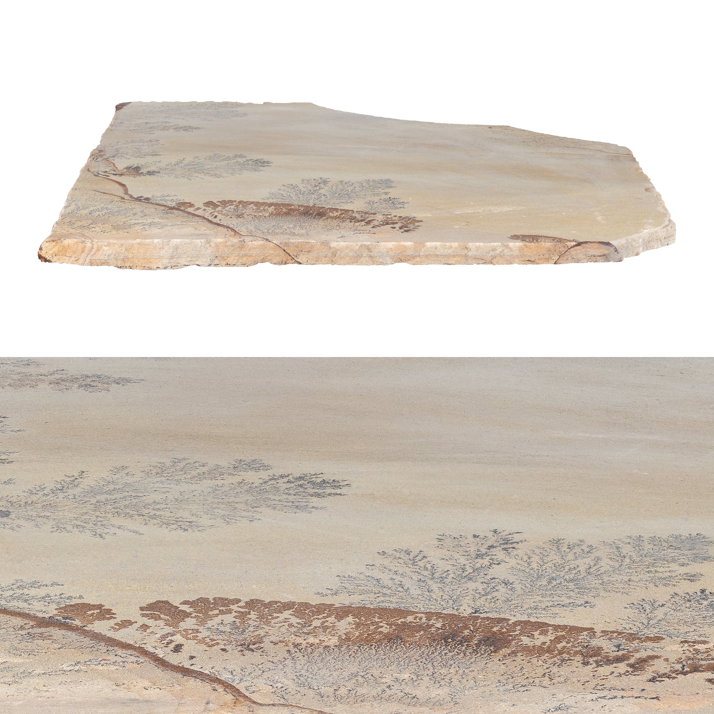 FOSSIL SANDSTONE: Pavers (natural cleft)